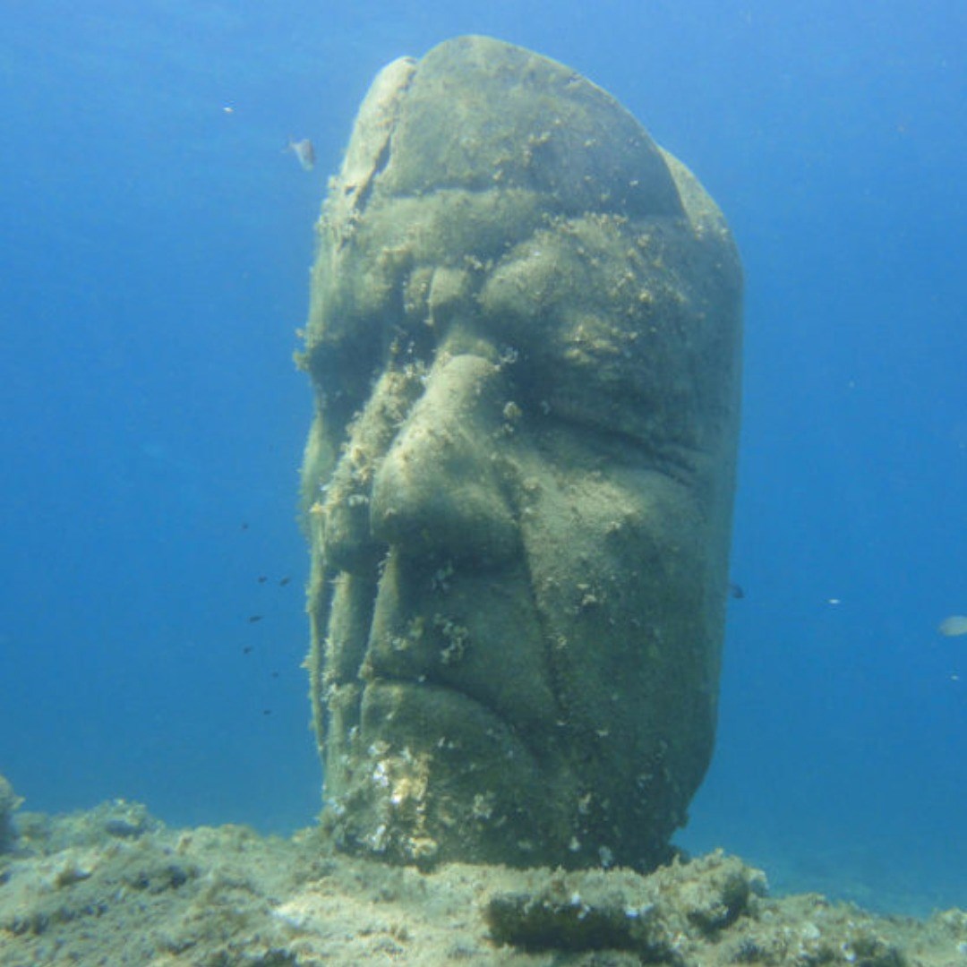snorkeling around the lerins island - excusion of 03h00
				in CANNES