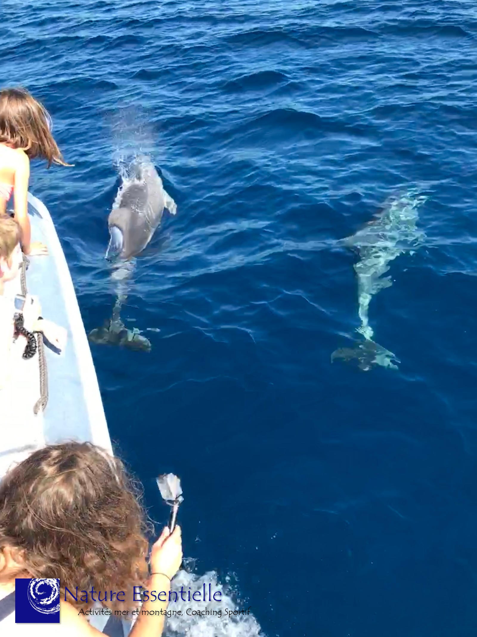 snorkeling around the lerins island - excusion of 03h00
				in CANNES