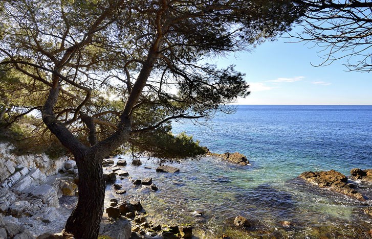RIVIERA LINES - BOAT SHUTTLES TO SAINTE MARGUERITE ISLAND IN CANNES