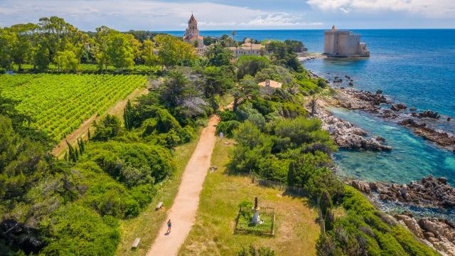 boat shuttles to saint honorat island in cannes
				in Cannes