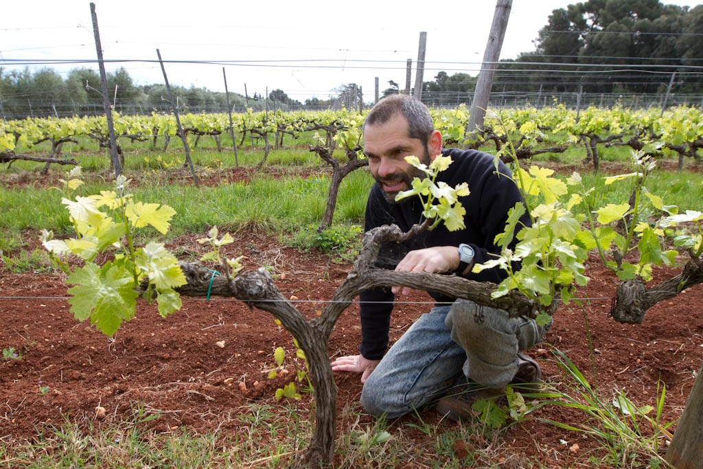 wines & vines days in cannes
				in Cannes
