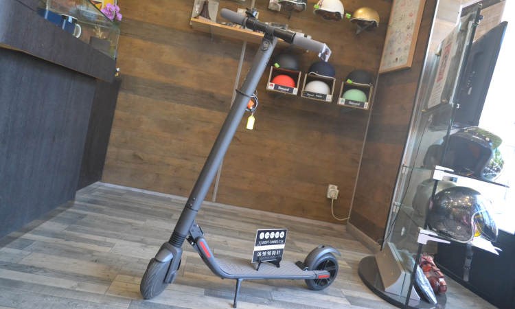 RENTAL ELECTRIC KICKSCOOTER