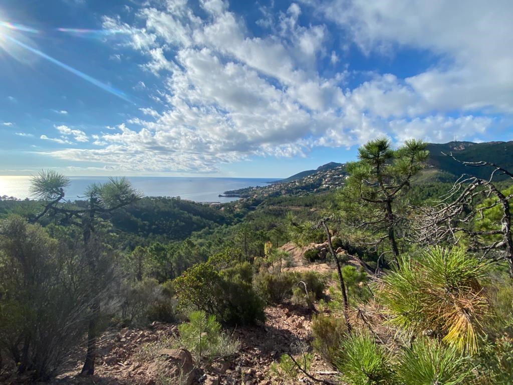 HALF-DAY HIKE IN THE ESTEREL MASSIF