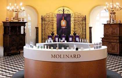 MOLINARD - Bar des Fragrances 30ml 20min